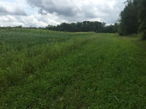 PF Member's Food Plot